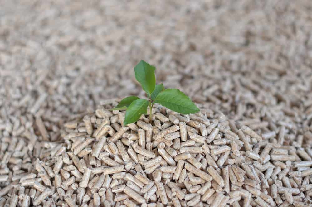 Παραγωγή Ενέργειας από Βιομάζα