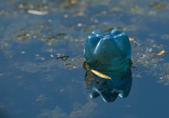 Περιβαλλοντικά Προβλήματα στην Ελλάδα & Τρόποι Αντιμετώπισης