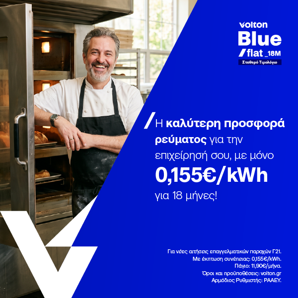 Volton Blue Flat 18M Business 21