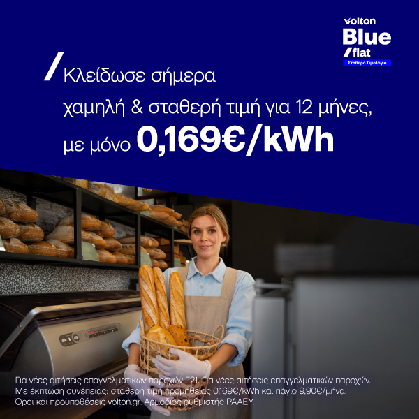 Volton Blue Flat Business 21