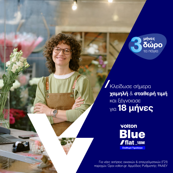 Volton Blue Flat 18M Business 21