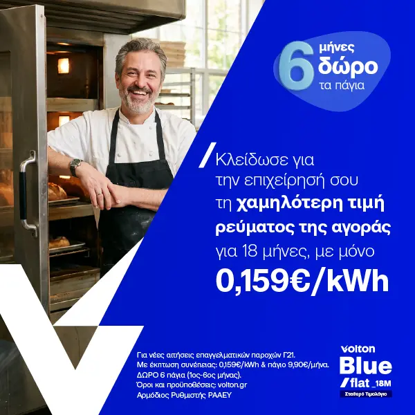 Volton Blue Flat 18M Business 21