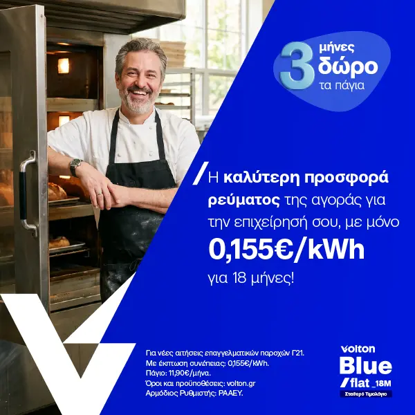 Volton Blue Flat 18M Business 21